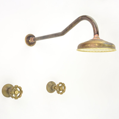 Photo: SP3011 in Raw Brass (RB) finish