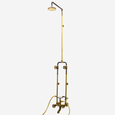 Photo: SP9621 in Raw Brass (RB) finish with White Handshower Handle