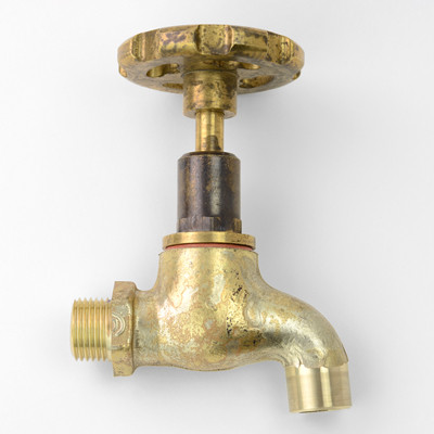 Photo: SP0001 in Raw Brass (RB) finish