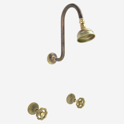 Photo: SP3021 in Raw Brass (RB) finish