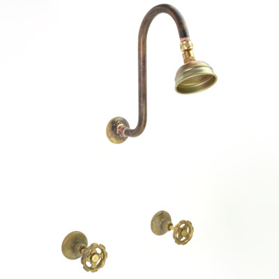 Photo: SP3021 in Raw Brass (RB) finish