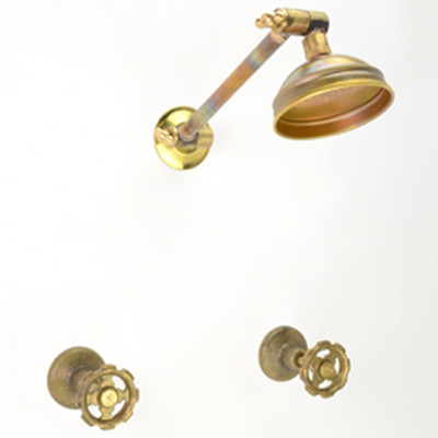 Photo: SP3051 in Raw Brass (RB) finish