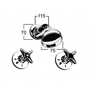 Bellevue Ball Joint Shower Set