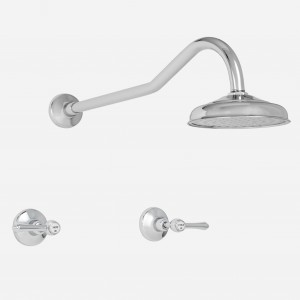 Roulette Lever Gooseneck Shower Set