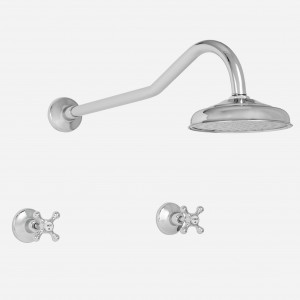 Roulette Gooseneck Shower Set