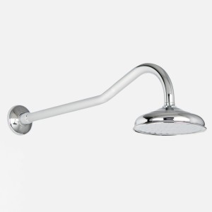 Roulette Gooseneck Shower Arm & Rose