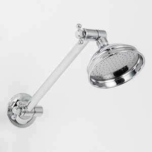 Adjustable Shower Arm & Rose