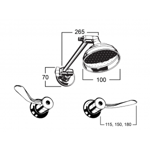 Torrens Flared Lever Adjustable Shower Set