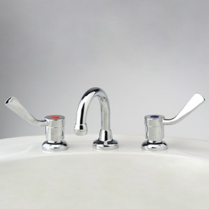 Torrens Flared Lever Basin Set with Fixed Gooseneck Outlet