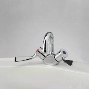 Torrens Flared Lever Basin Duo Mixer with Swivel Gooseneck Outlet