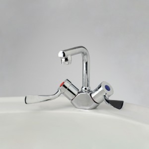 Torrens Flared Lever Basin Duo Mixer with Swivel T Outlet