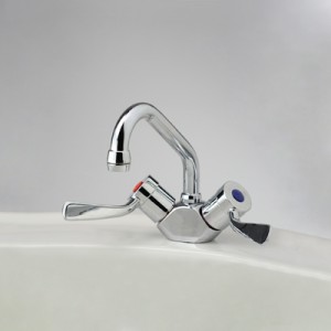 Torrens Flared Lever Basin Duo Mixer with Swivel Upswept Outlet