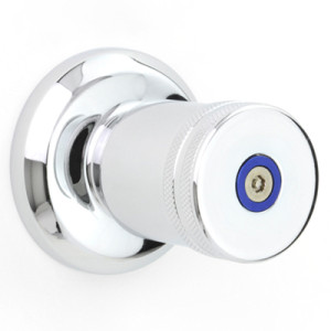 Torrens Knurled with Torx Screw Wall Top Assembly