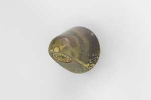 Photo: BA2031 in Raw Brass (RB) finish