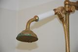 Polished Brass Hand Shower
