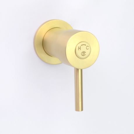 Torrens Modern Wall Mixer with Small Cover Plate in Lea Wheeled Brass finish