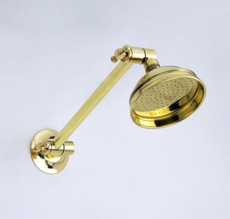 Adjustable Shower Arm & Rose in Polish to Plate